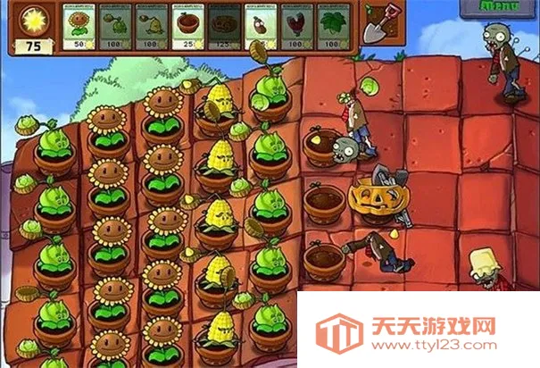 ֲ���ս��ʬ95ج��