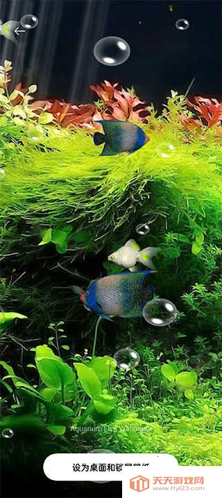 ˮ��ݶ�̬��ֽ��������2026�ٷ�����v5.3 �ֻ����ͼ2