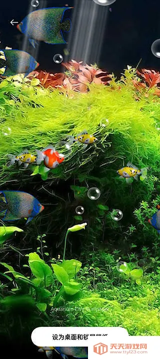 ˮ��ݶ�̬��ֽ��������2026�ٷ�����v5.3 �ֻ����ͼ0