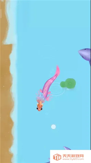 召唤神龙万宁版 召唤神龙万宁版