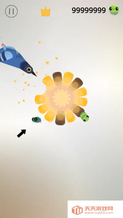 pigeon���ĸ���