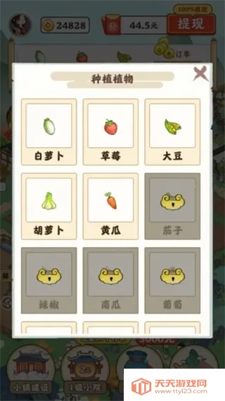 ����СԺ����