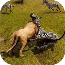 ��Ұ����ģ��2026�ٷ����� v1.0 ��Ѱ�