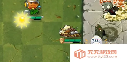 ֲ���ս��ʬ����潣������