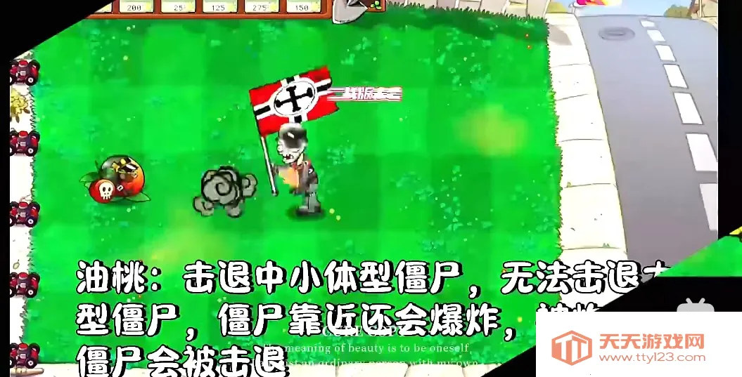 ֲ���ս��ʬ��ս��