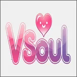 vsoul ai2026�ٷ����°汾 v4.0.4 �ֻ���