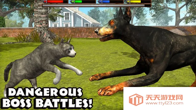 �ռ�èģ����v1.1 ��׿���ͼ3