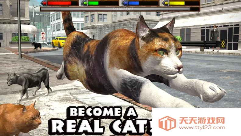 �ռ�èģ����v1.1 ��׿���ͼ4