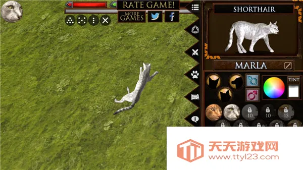 �ռ�èģ����