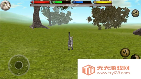 �ռ�èģ����