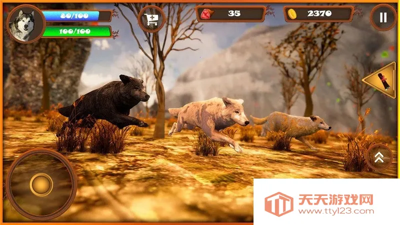 ����ģ����2026�ٷ����°汾v1 �ֻ����ͼ3