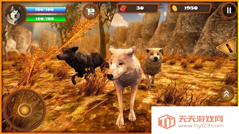 ����ģ����2026�ٷ����°汾v1 �ֻ����ͼ4