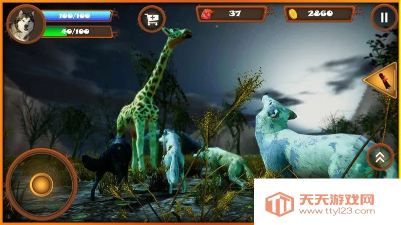 ����ģ����2026�ٷ����°汾