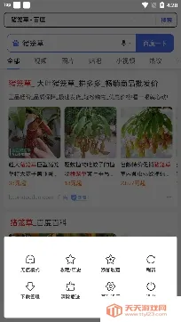 �쿴�����