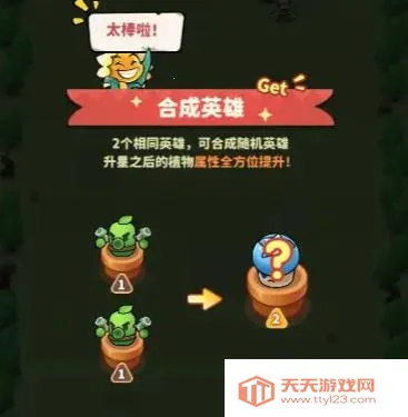 ֲ���ȶ������ֻ���