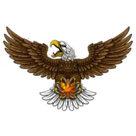 ��ӥTV(Ӱ��׷��ƽ̨) v8.7 �ٷ�����