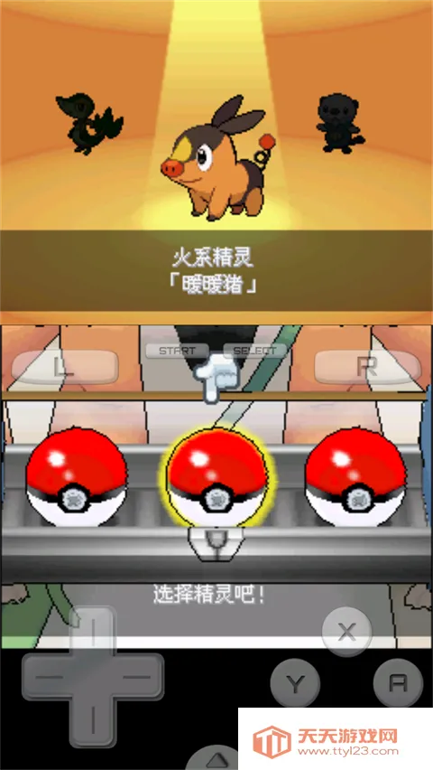 口袋妖怪 超透黑2 版(宝可梦同人游戏) 口袋妖怪 超透黑2 版(宝可梦同人游戏)