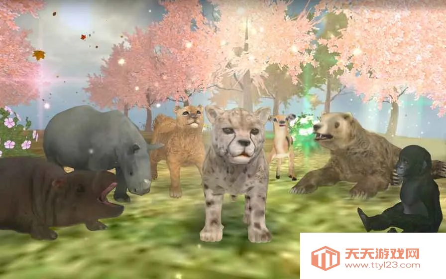 ���ַ���2026�ٷ����°汾v3.22 ��׿���ͼ4