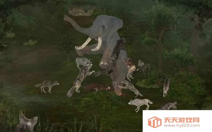 ���ַ���2026�ٷ����°汾v3.22 ��׿���ͼ2