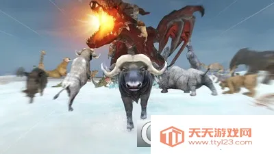 ���ַ���2026�ٷ����°汾