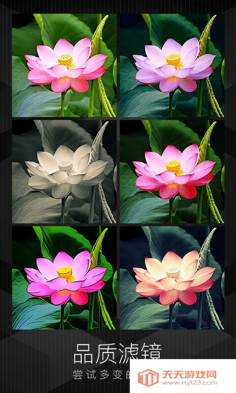 MIX�˾���ʦ2026�ٷ����°汾v4.9.80 ��׿���ͼ1