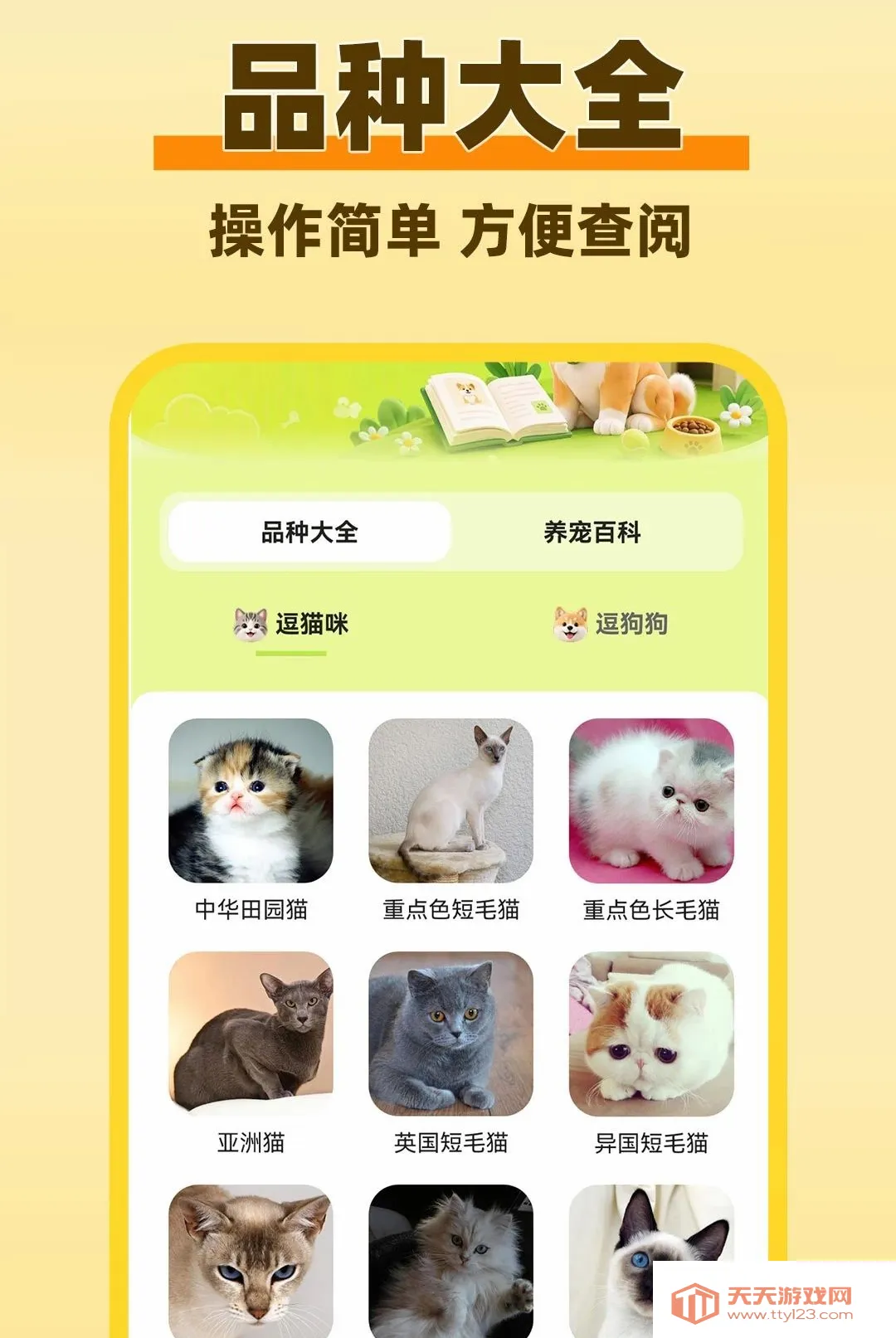 è���������Է�������׿�ֻ���