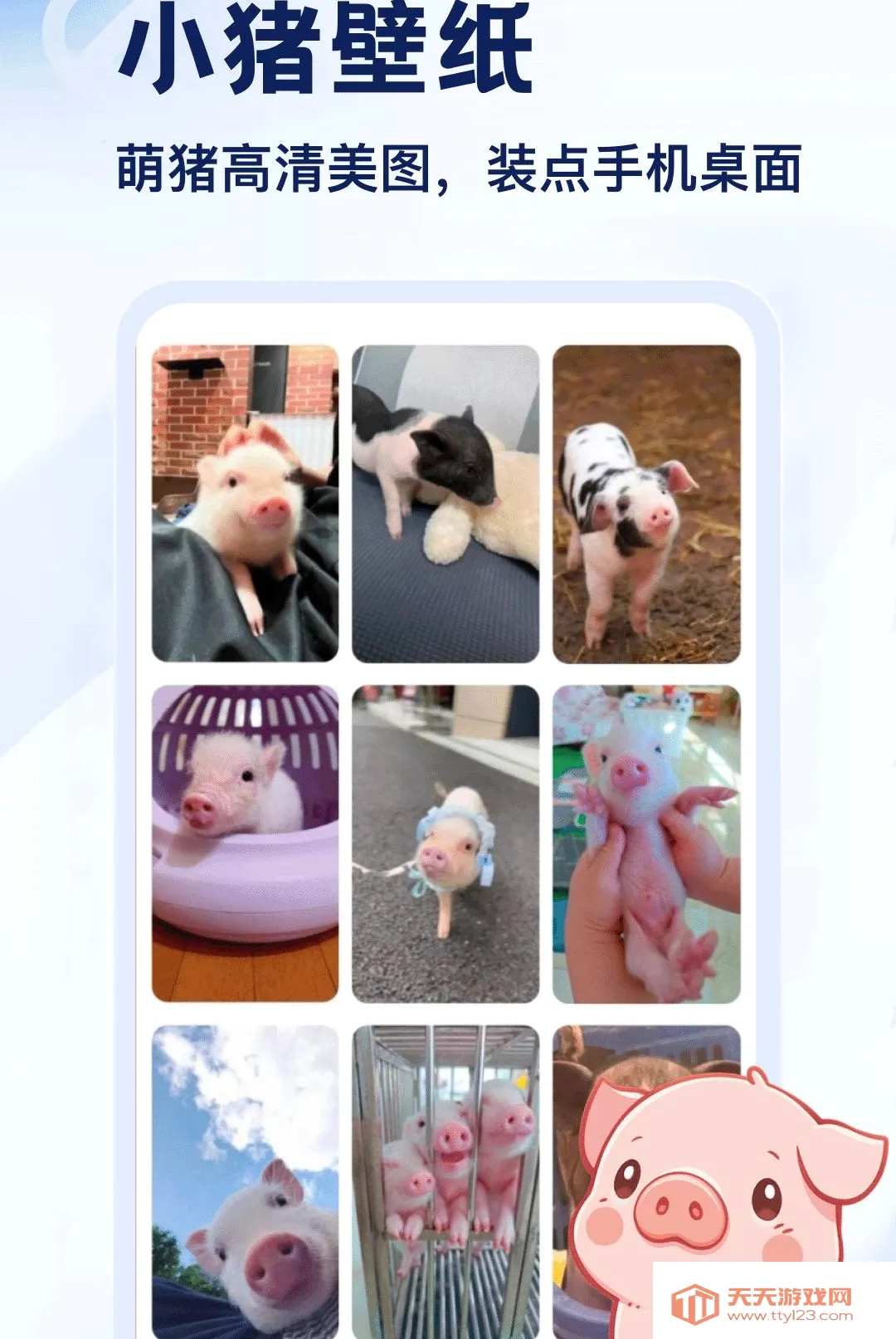 猪了APP(小猪科普APP)v5.2 手机版截图1