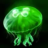 eggjelly�̾�(�����̾�app) v2.5 �ٷ���