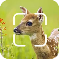 TrailCam Go��׿�ֻ��� v2.10.6 �ֻ���