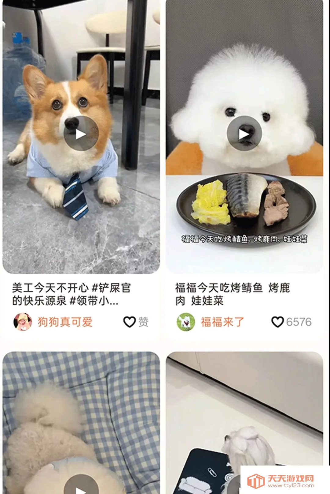 С���APP(������������)v1.1.7 ��׿���ͼ1