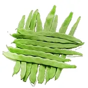 С�˶���׿���ֻ��� v4.1 �ֻ���