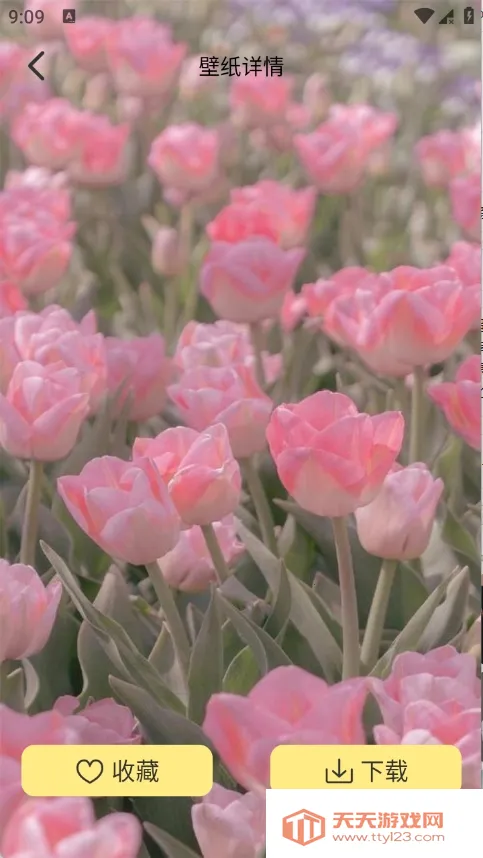 �Ⱦޱ�ֽ2026�ٷ�����v1.1 �ֻ����ͼ1