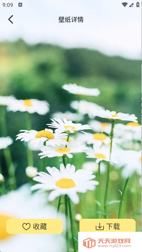 �Ⱦޱ�ֽ2026�ٷ�����v1.1 �ֻ����ͼ0