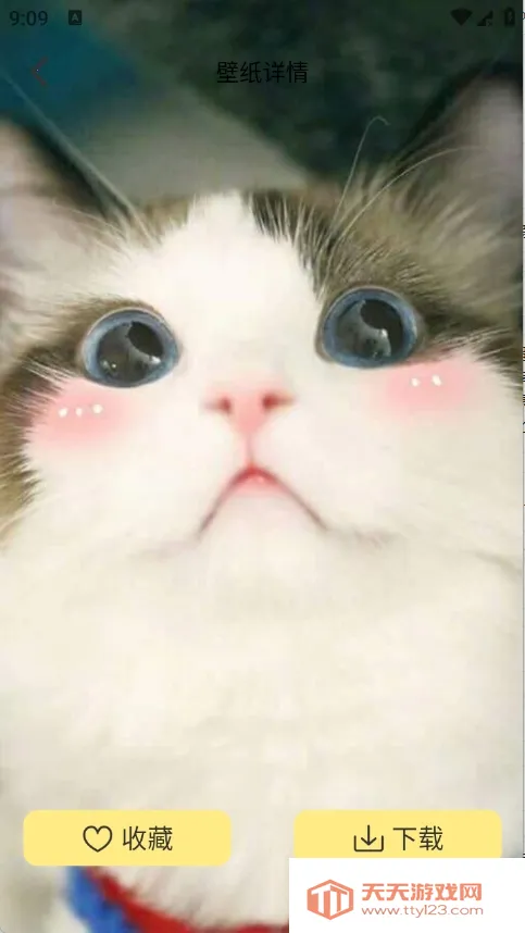 �Ⱦޱ�ֽ2026�ٷ�����v1.1 �ֻ����ͼ4