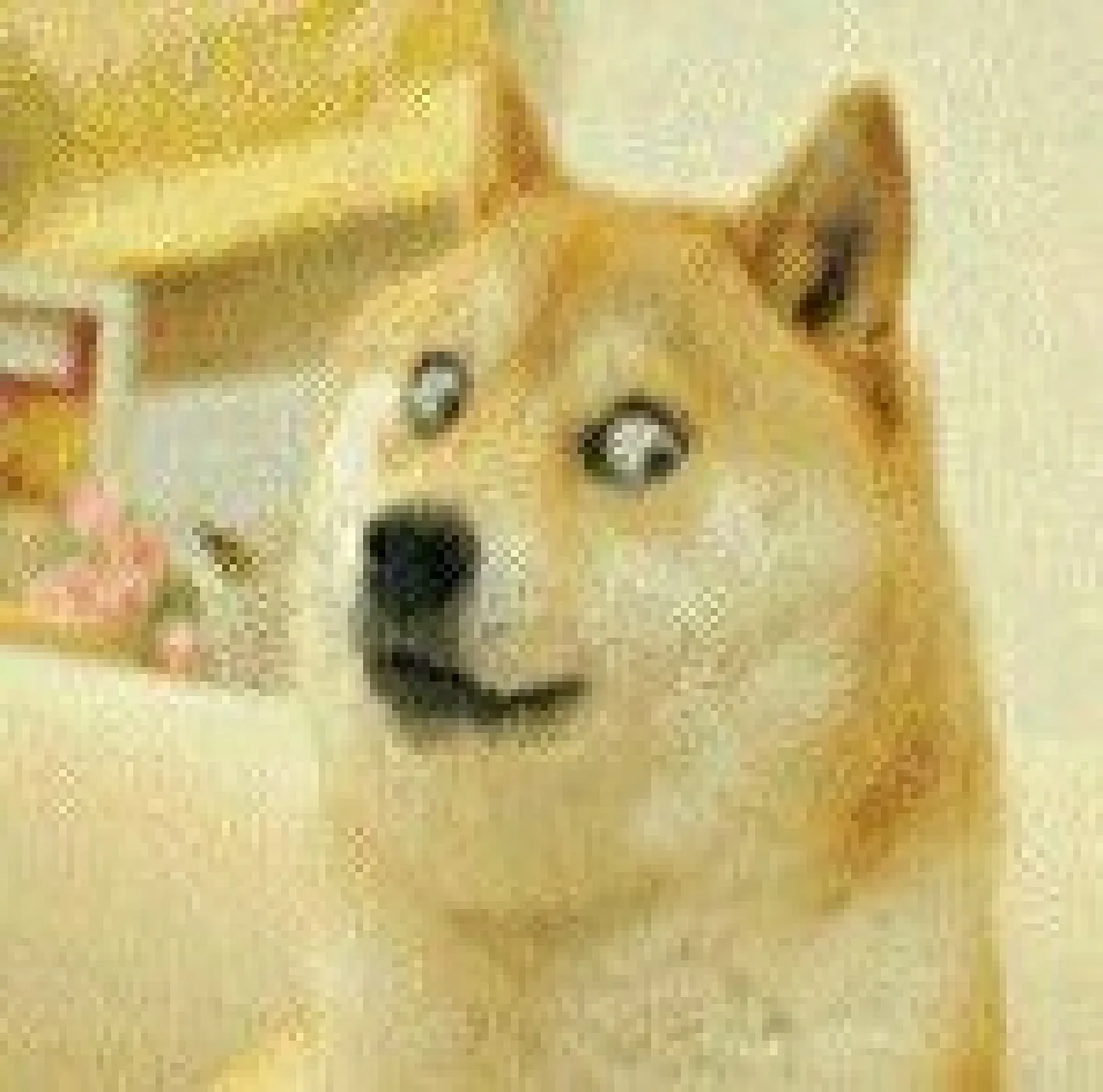 ������������׿���ֻ��� v20260128 �ٷ�����