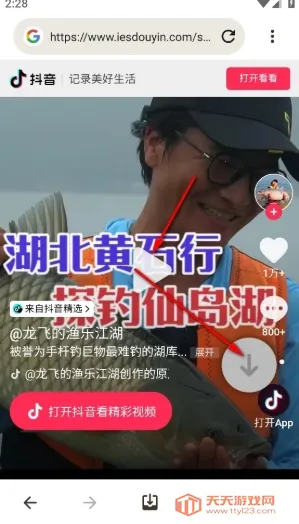 Downloader(�ļ����ع���)