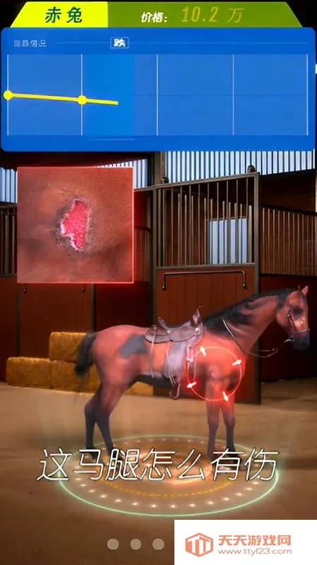 ����Ҳ������޽������