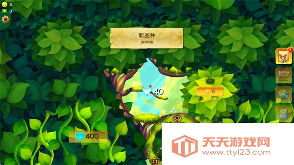 ������������������ӫ���