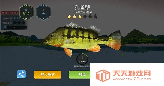 钓鱼大师兄中文版下载 钓鱼大师兄中文版下载