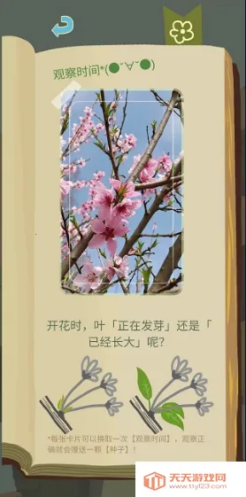 ��ũ������������