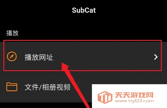 Subcap����(��Ƶ��Ļ����)