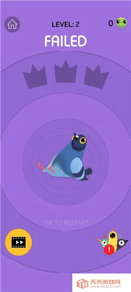 pigeon���ĸ���