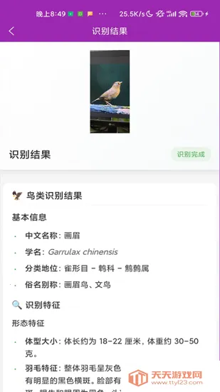 ʶ��(����ʶ�𹤾�)v1.1.0 ��׿���ͼ3