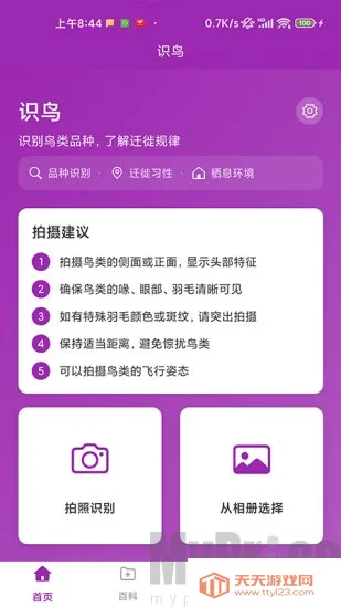 ʶ��(����ʶ�𹤾�)