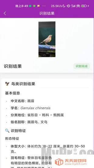 ʶ��(����ʶ�𹤾�)