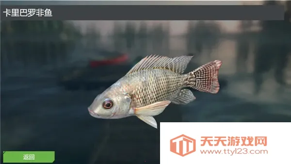 �ռ�����ģ���������ֻ���