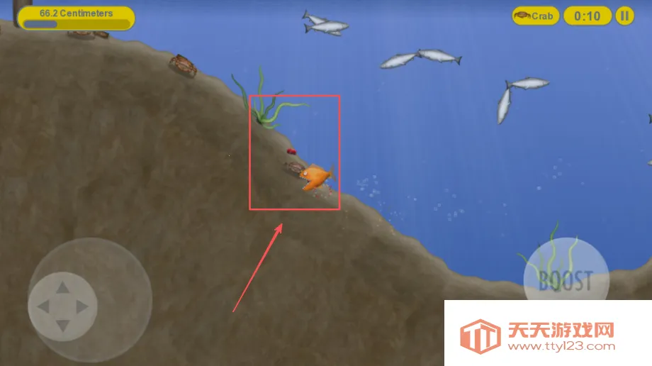 ��ζ���������