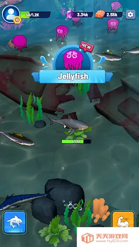 鲨鱼进化吞噬与成长(鲨鱼吞噬成长游戏)v1.0.1 安卓版截图4