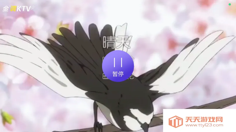 金调KTV点歌系统 金调KTV点歌系统