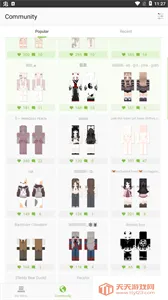 skinseedƤ��������v6.5.22 �ٷ������ͼ4